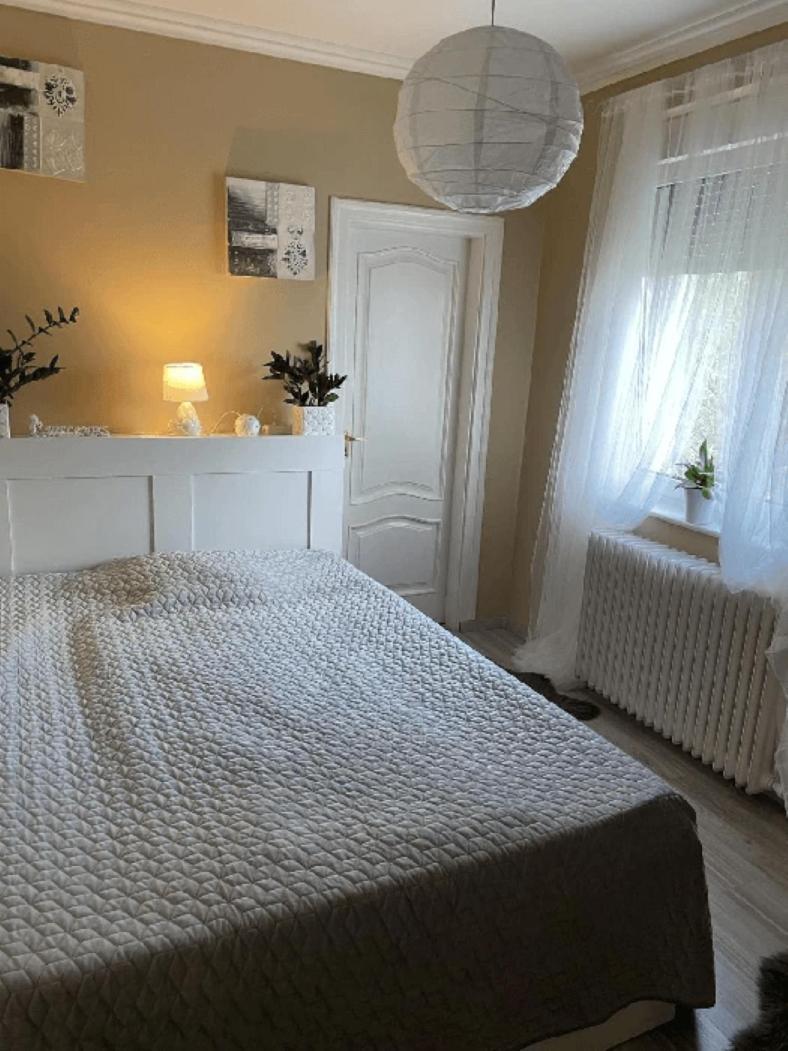 Bed and Breakfast Pava Panzio Soltvadkert Exteriér fotografie